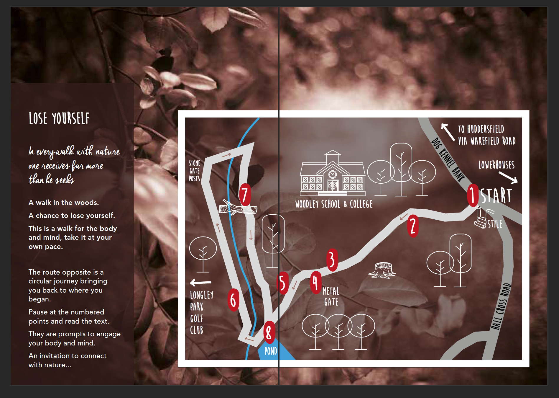 woodland wellbeing trail