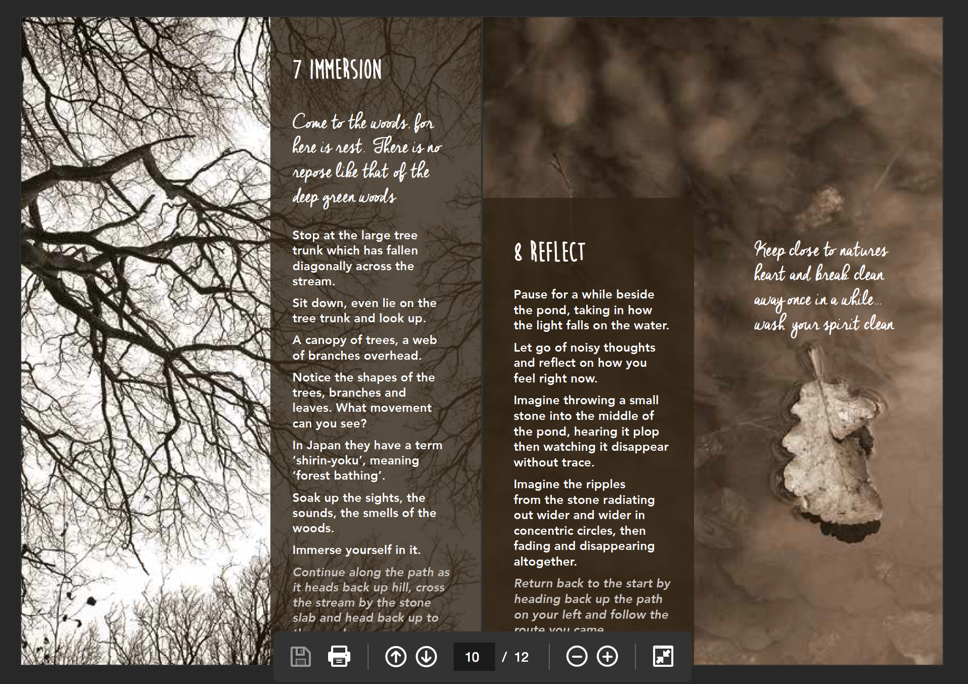 woodland wellbeing trail
