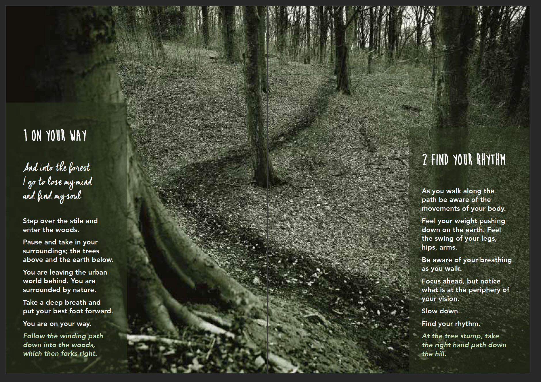 woodland wellbeing trail