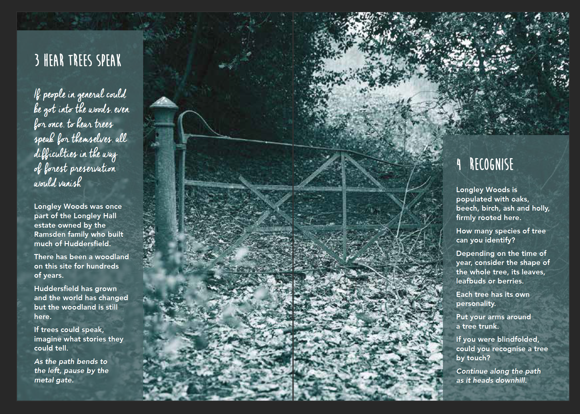 woodland wellbeing trail